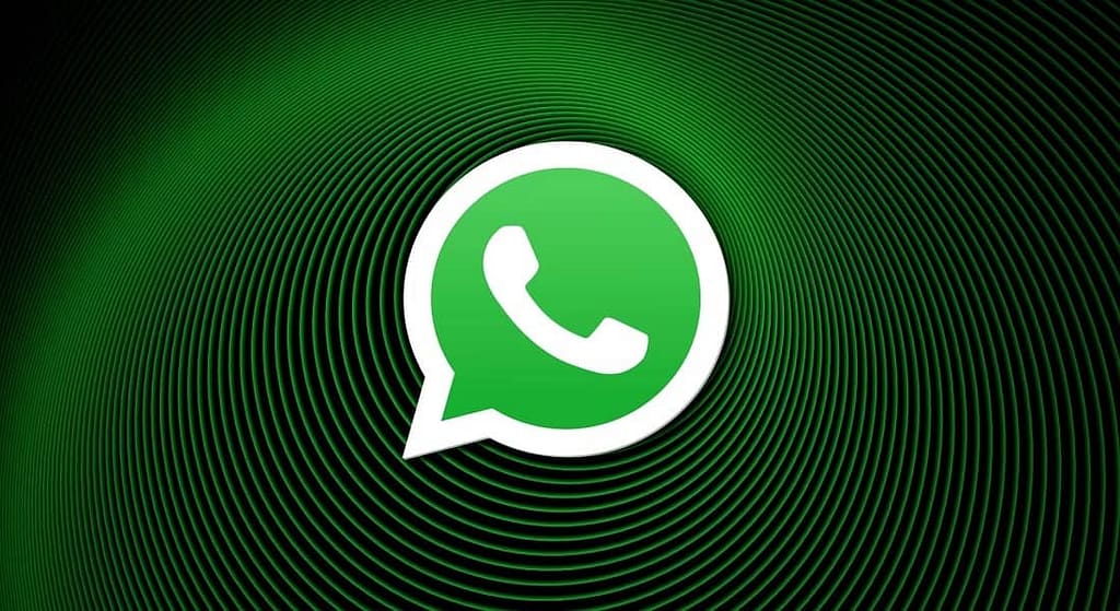 WhatsApp Accidental Delete