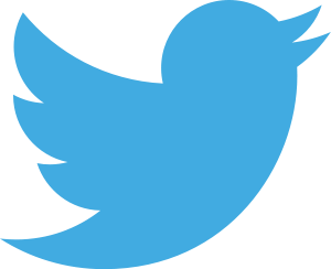300px-Twitter_bird_logo_2012.svg__0