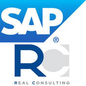 sap_real_conculting_177x
