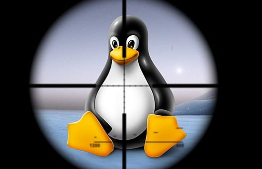 Rekoobe: Στο στόχαστρο του νέου malware οι χρήστες Linux