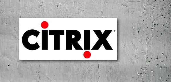 I hacked Citrix, says Russian hacker w0rm