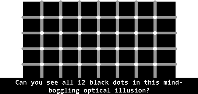 scin-grid-οπτική -ψευδαίσθηση