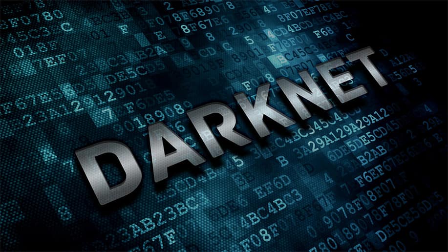 dark net dark net dark net dark net