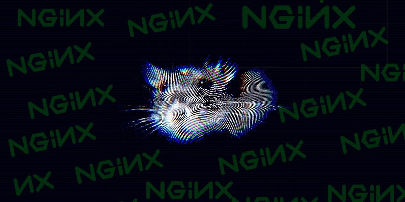 servers Nginx