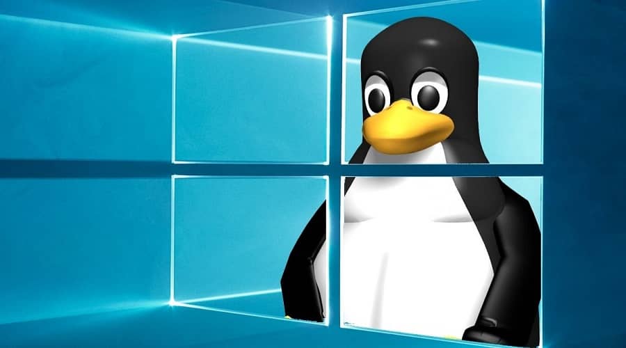 Windows Linux GUI apps