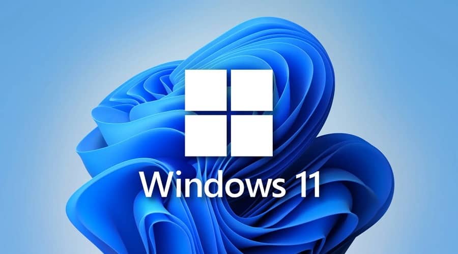 Windows 11 απόρρητο