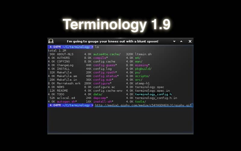 Terminology 1.9 Terminal Emulator linux